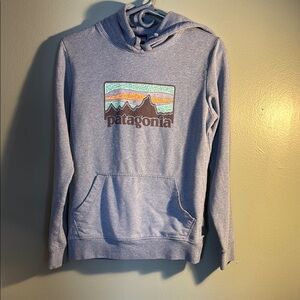 Patagonia Men's Gray Hoodie